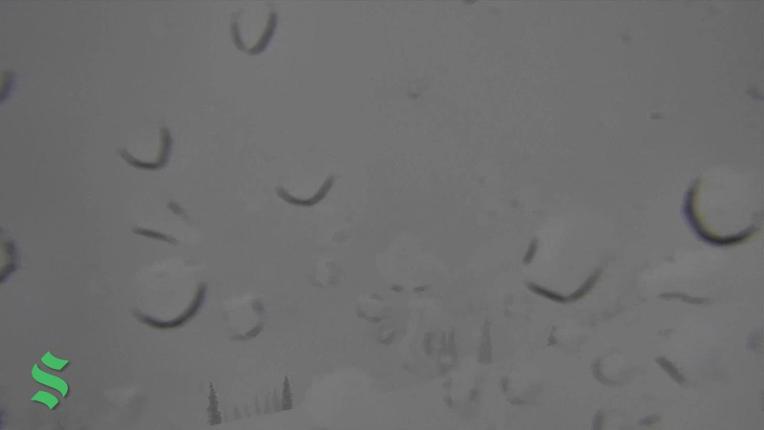 Webcam Schweitzer Mountain Resort: Colburn Triple