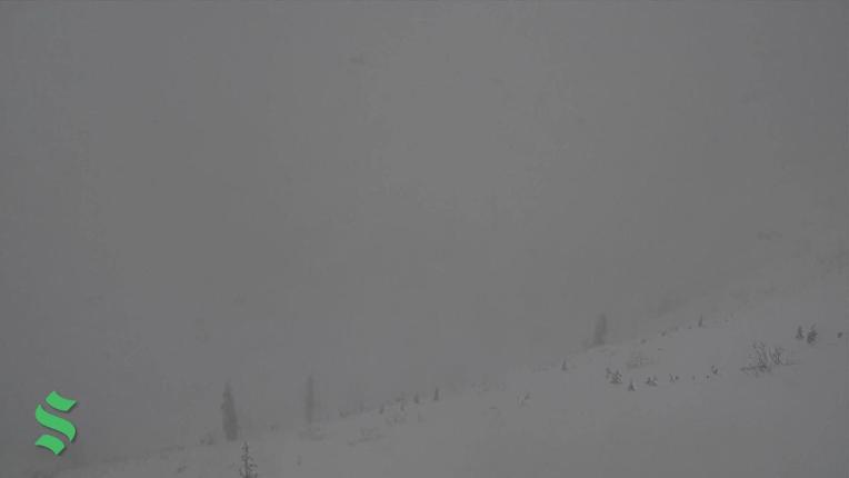 Webcam Schweitzer Mountain Resort: Colburn Triple