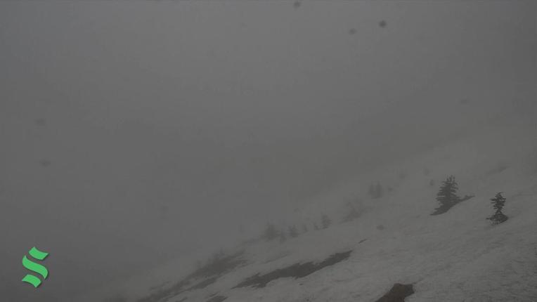 Webcam Schweitzer Mountain Resort: Colburn Triple