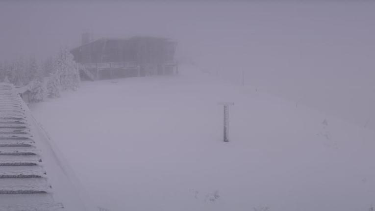 Webcam Schweitzer Mountain Resort: Panoramic