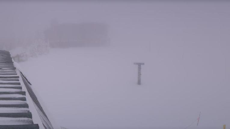 Webcam Schweitzer Mountain Resort: Panoramic