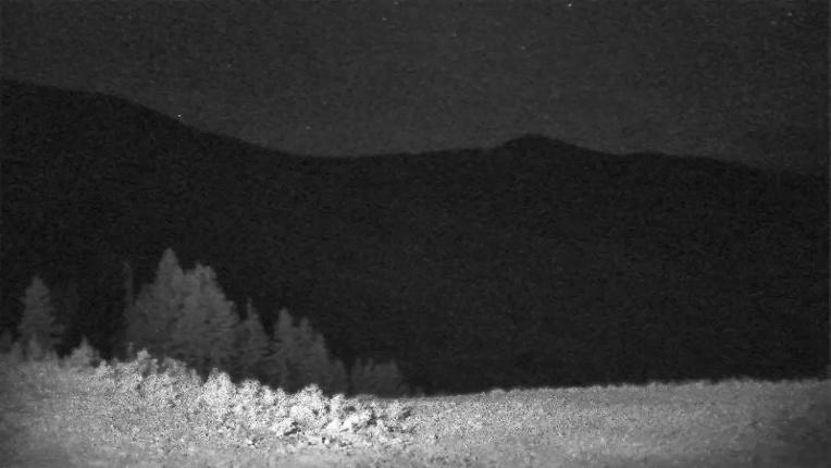 Webcam Schweitzer Mountain Resort: Rowdy Grouse