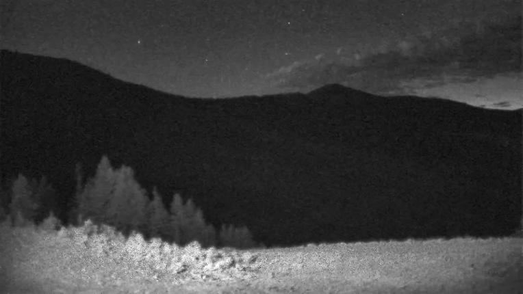 Webcam Schweitzer Mountain Resort: Rowdy Grouse