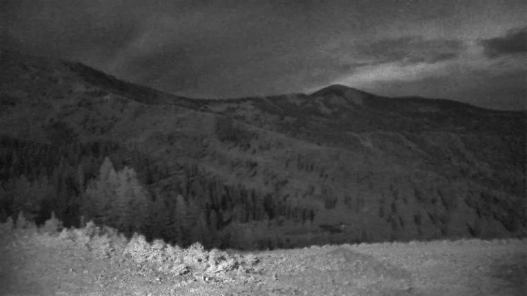 Webcam Schweitzer Mountain Resort: Rowdy Grouse