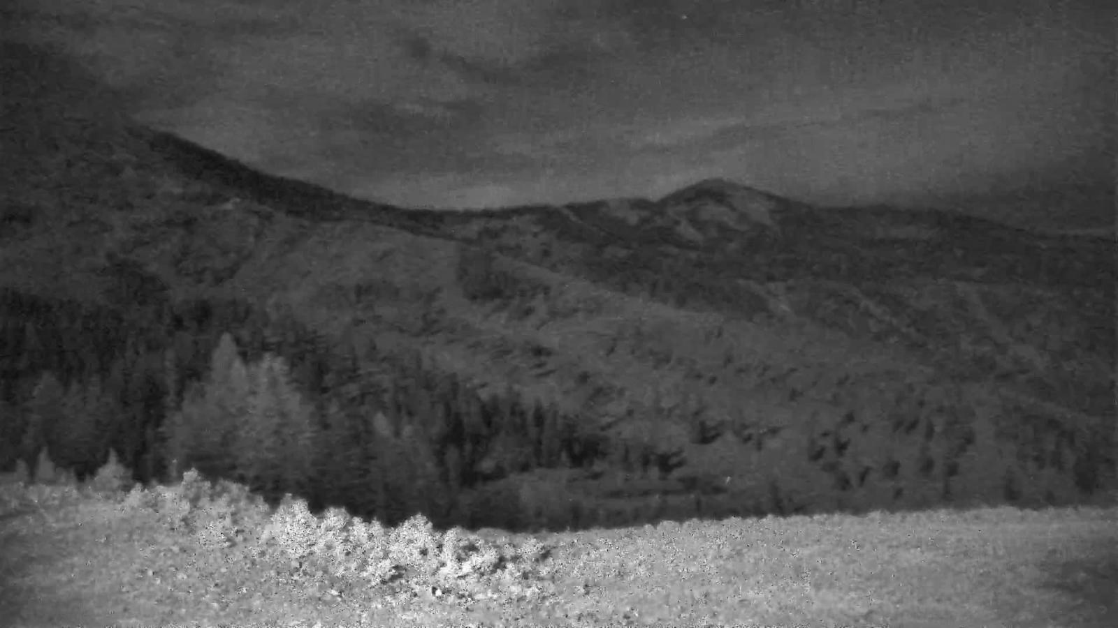 Webcam Schweitzer Mountain Resort: Rowdy Grouse