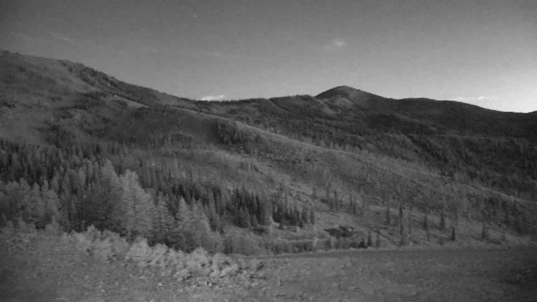 Webcam Schweitzer Mountain Resort: Rowdy Grouse