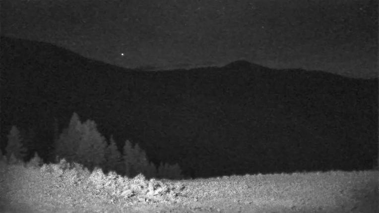 Webcam Schweitzer Mountain Resort: Rowdy Grouse