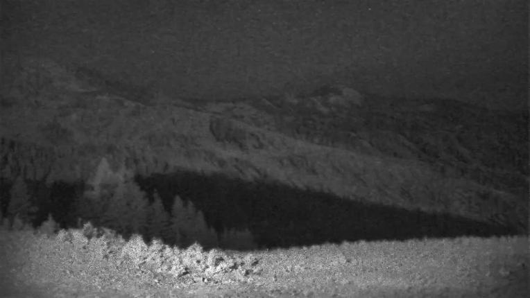 Webcam Schweitzer Mountain Resort: Rowdy Grouse