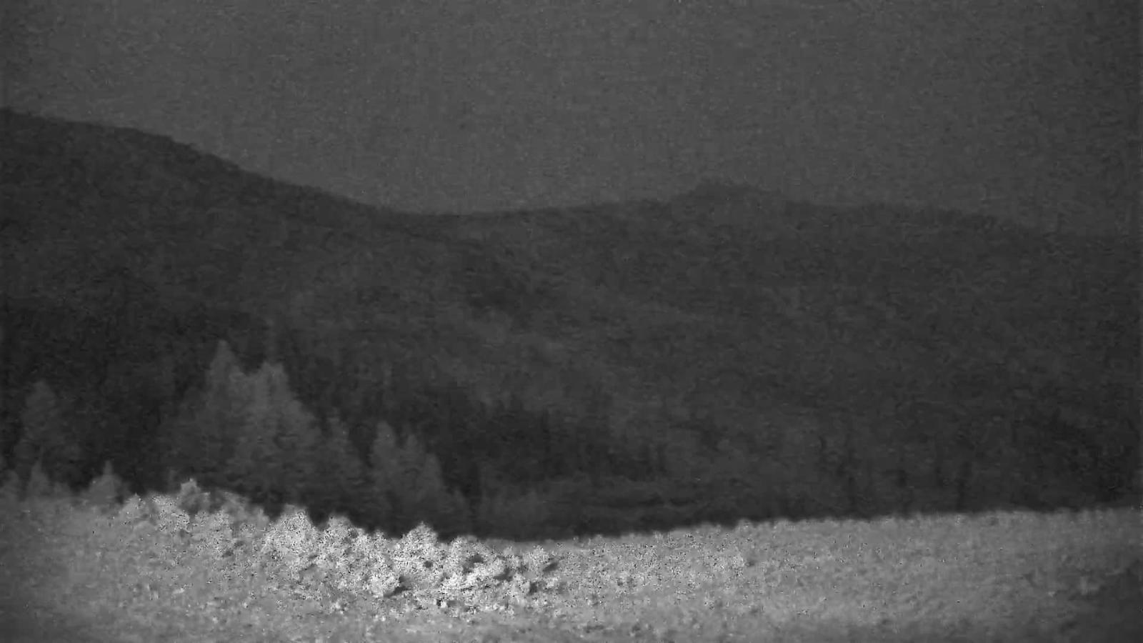 Webcam Schweitzer Mountain Resort: Rowdy Grouse