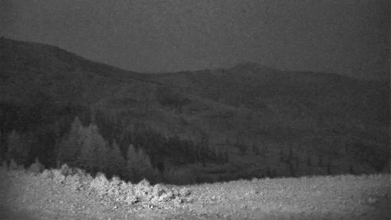 Webcam Schweitzer Mountain Resort: Rowdy Grouse