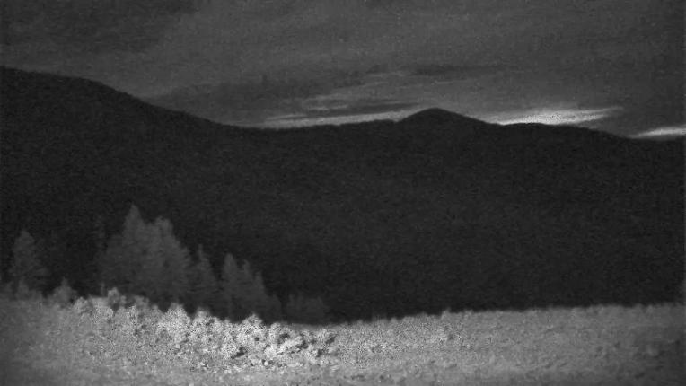 Webcam Schweitzer Mountain Resort: Rowdy Grouse
