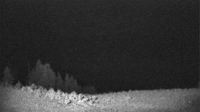 Webcam Schweitzer Mountain Resort: Rowdy Grouse