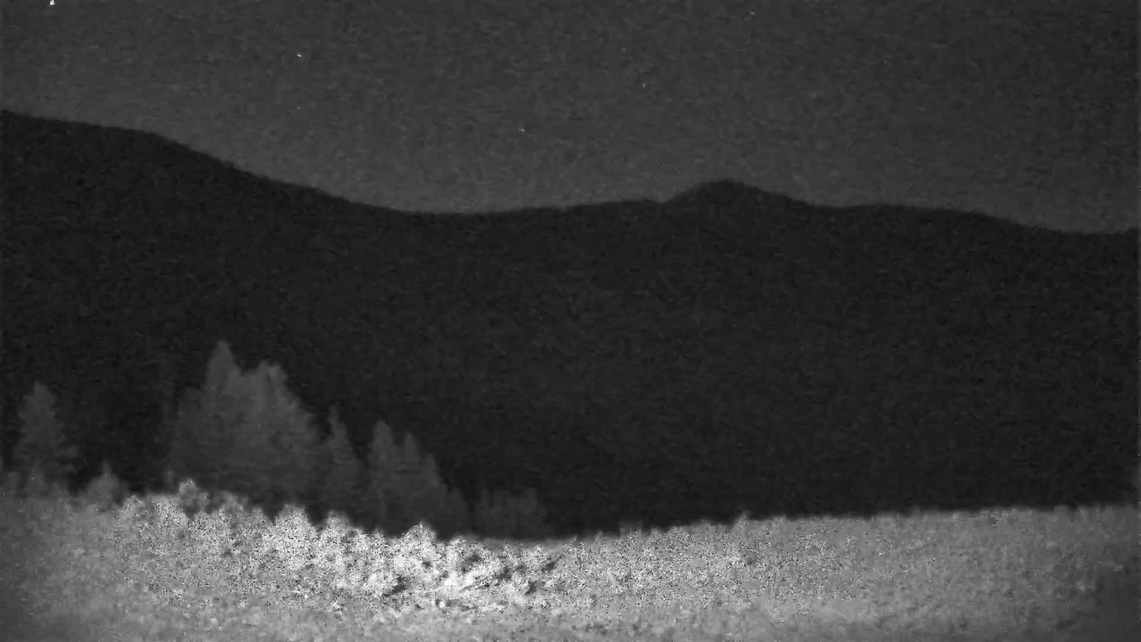 Webcam Schweitzer Mountain Resort: Rowdy Grouse