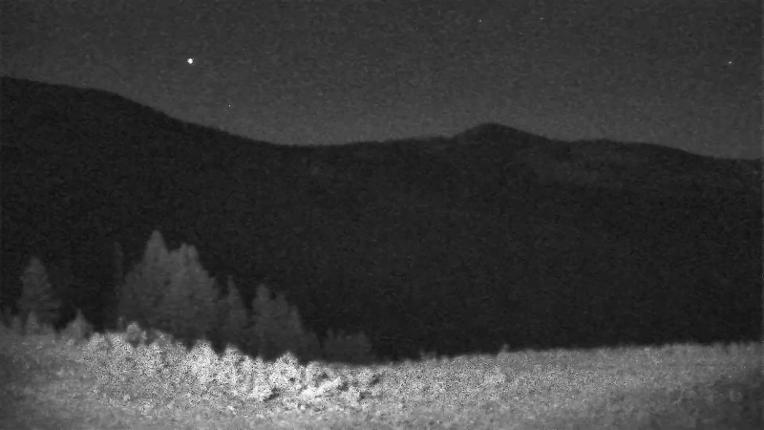 Webcam Schweitzer Mountain Resort: Rowdy Grouse