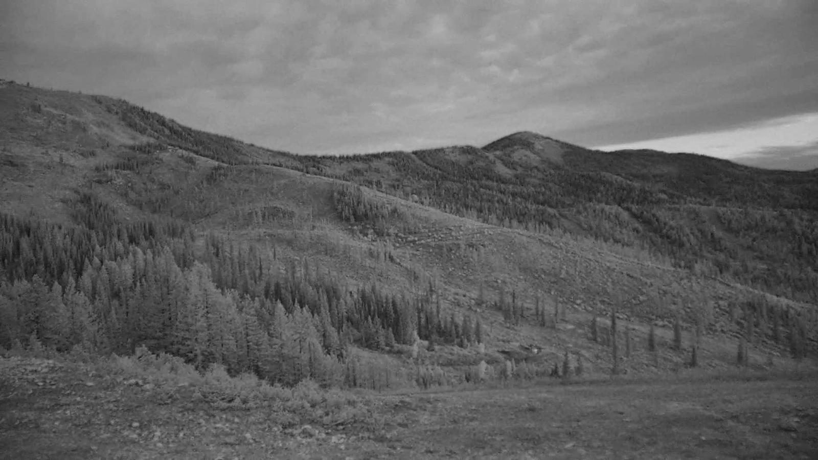 Webcam Schweitzer Mountain Resort: Rowdy Grouse