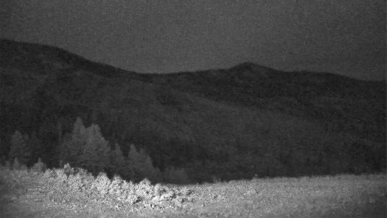Webcam Schweitzer Mountain Resort: Rowdy Grouse