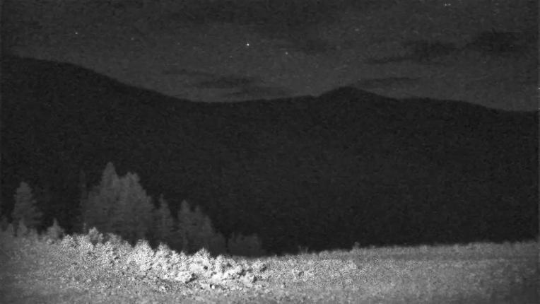 Webcam Schweitzer Mountain Resort: Rowdy Grouse
