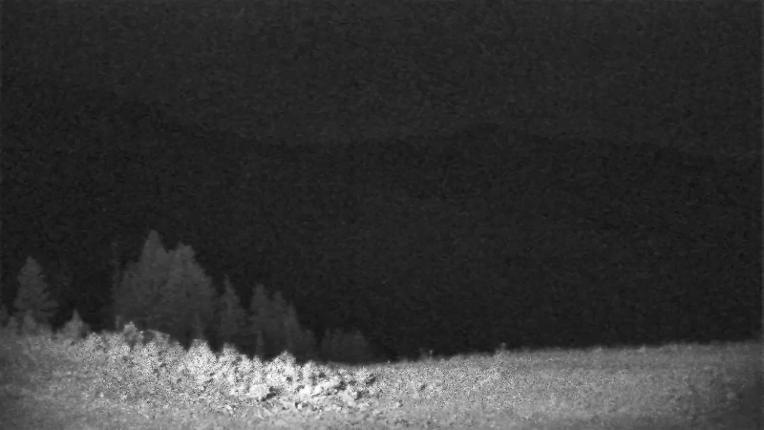 Webcam Schweitzer Mountain Resort: Rowdy Grouse