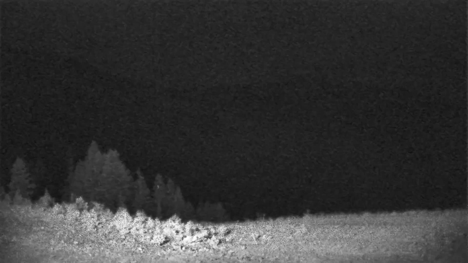 Webcam Schweitzer Mountain Resort: Rowdy Grouse