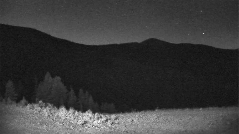 Webcam Schweitzer Mountain Resort: Rowdy Grouse