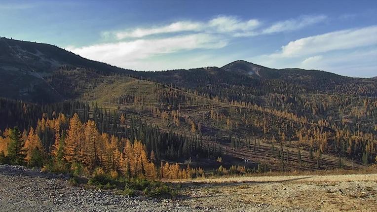 Webcam Schweitzer Mountain Resort: Rowdy Grouse