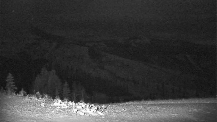 Webcam Schweitzer Mountain Resort: Rowdy Grouse