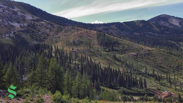 Webcam Schweitzer Mountain Resort: Rowdy Grouse