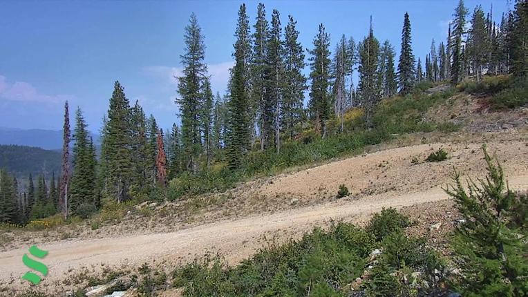 Webcam Schweitzer Mountain Resort: Rowdy Grouse