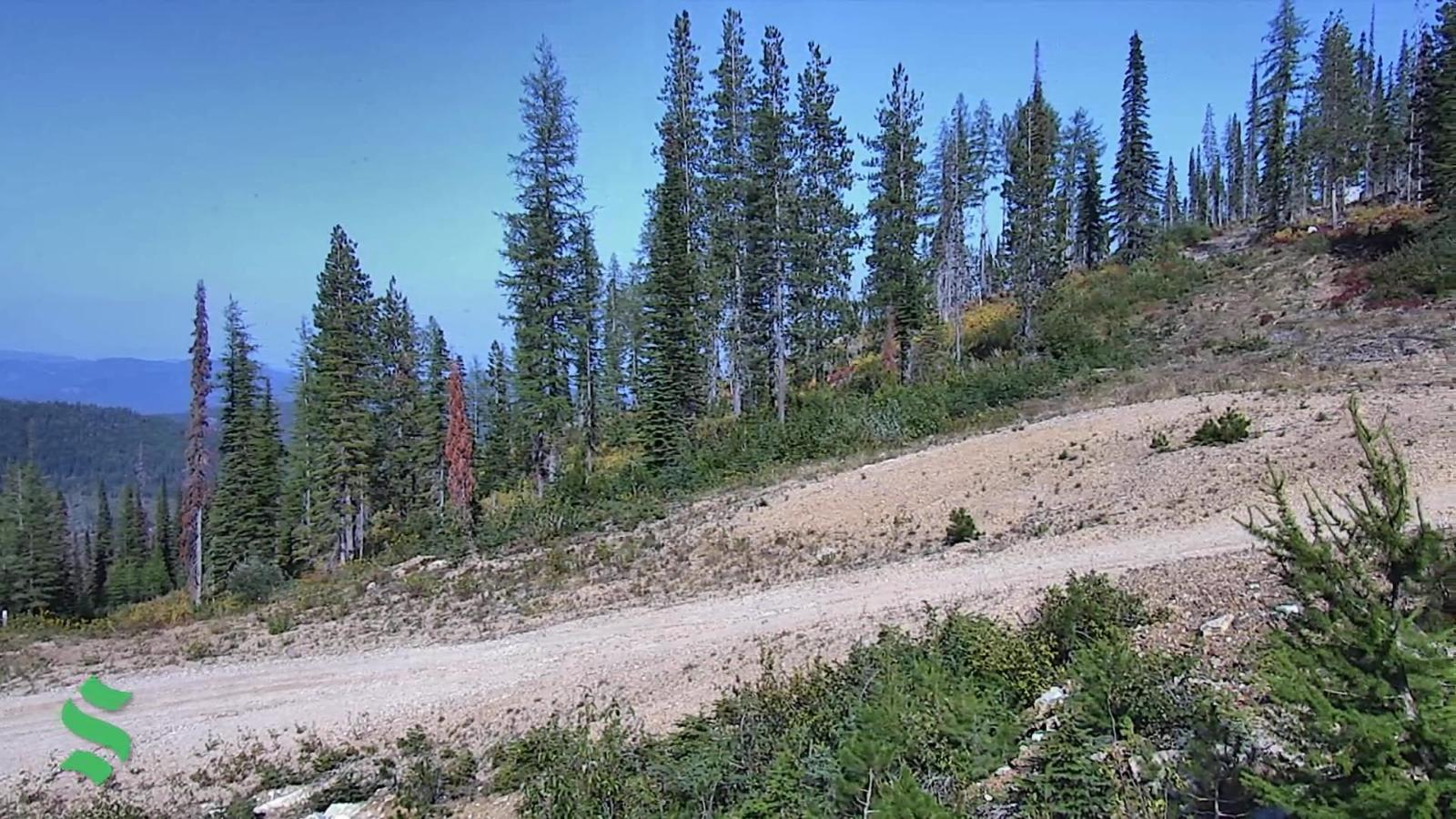 Webcam Schweitzer Mountain Resort: Rowdy Grouse