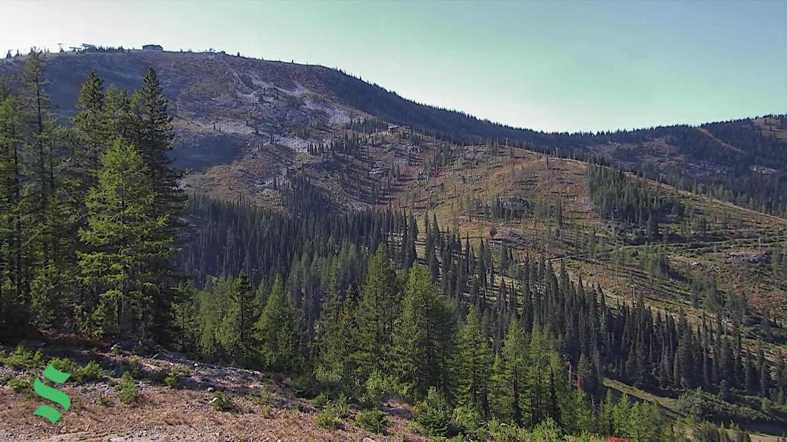 Webcam Schweitzer Mountain Resort: Rowdy Grouse