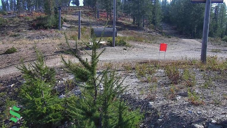 Webcam Schweitzer Mountain Resort: Rowdy Grouse