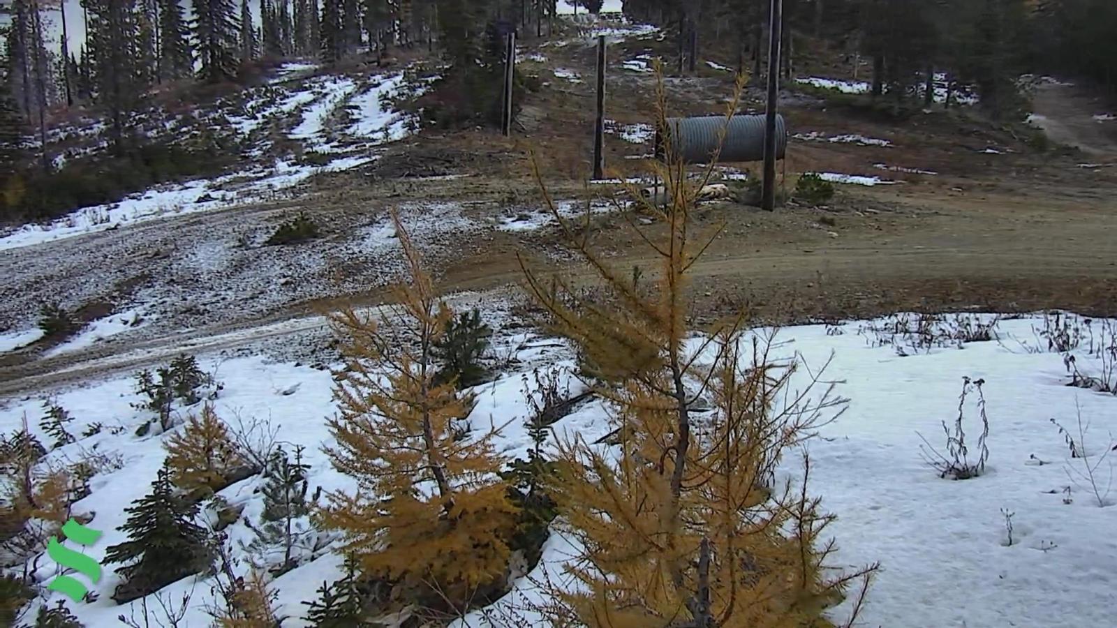 Webcam Schweitzer Mountain Resort: Rowdy Grouse