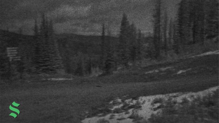 Webcam Schweitzer Mountain Resort: Rowdy Grouse
