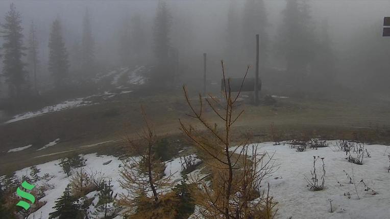 Webcam Schweitzer Mountain Resort: Rowdy Grouse