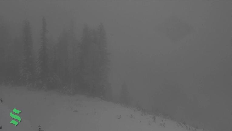 Webcam Schweitzer Mountain Resort: Rowdy Grouse