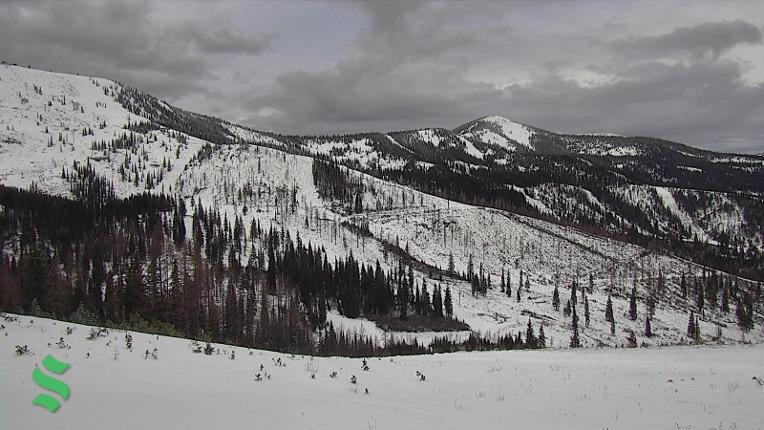 Webcam Schweitzer Mountain Resort: Rowdy Grouse