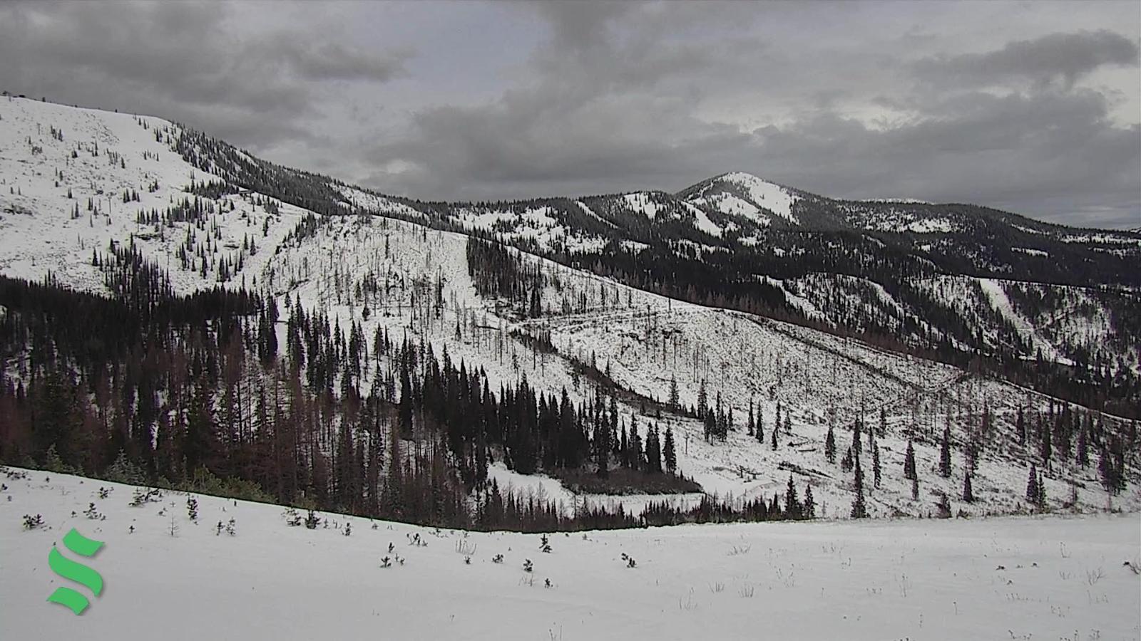 Webcam Schweitzer Mountain Resort: Rowdy Grouse