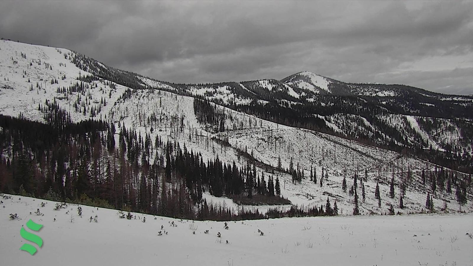 Webcam Schweitzer Mountain Resort: Rowdy Grouse