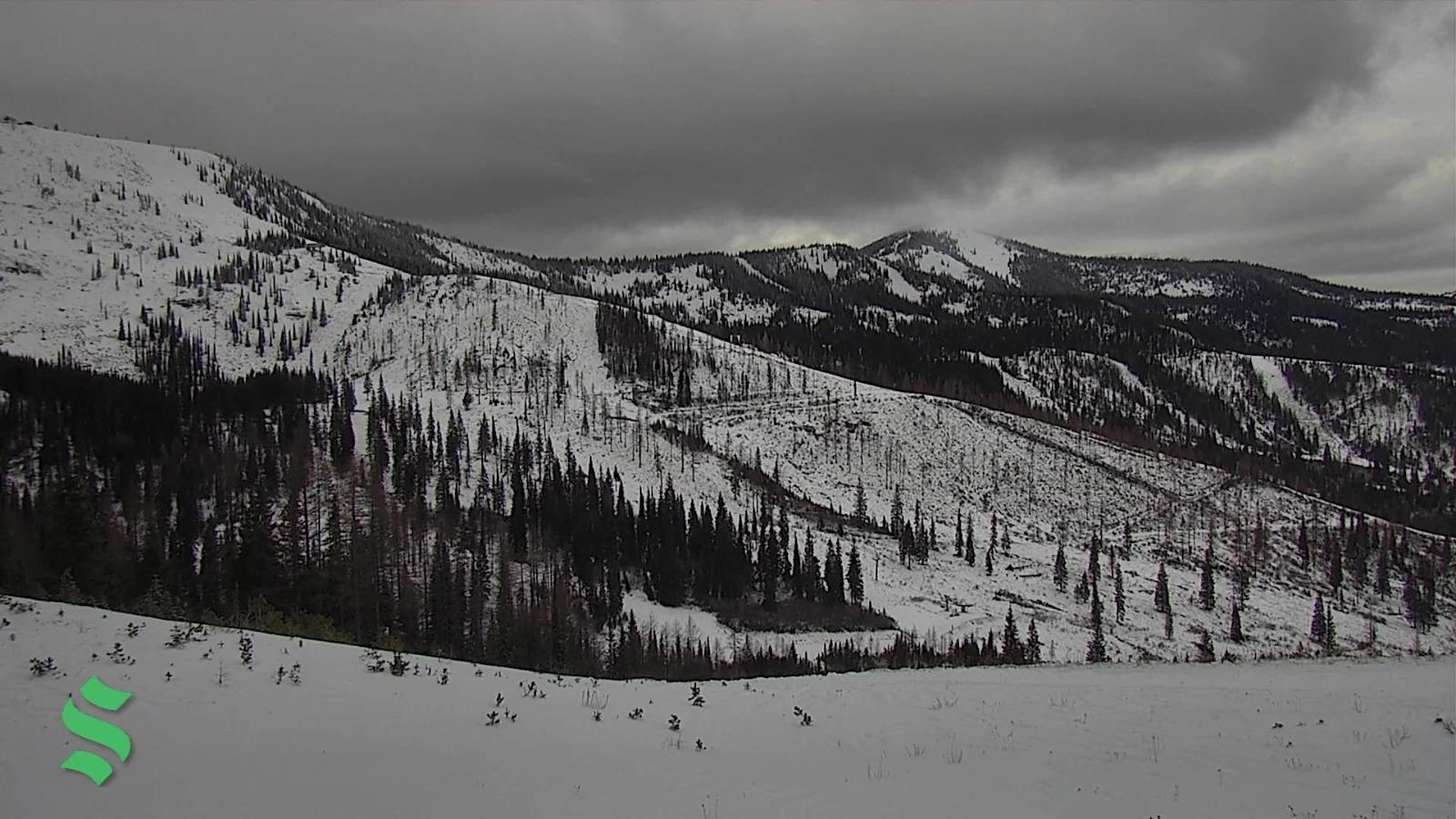 Webcam Schweitzer Mountain Resort: Rowdy Grouse
