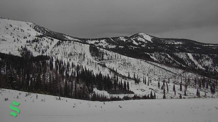 Webcam Schweitzer Mountain Resort: Rowdy Grouse
