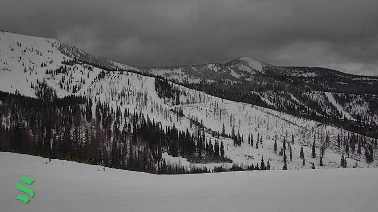 Webcam Schweitzer Mountain Resort: Rowdy Grouse