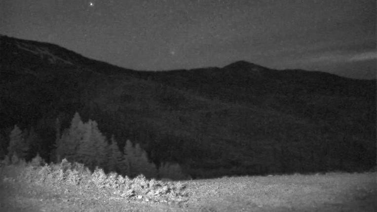 Webcam Schweitzer Mountain Resort: Rowdy Grouse