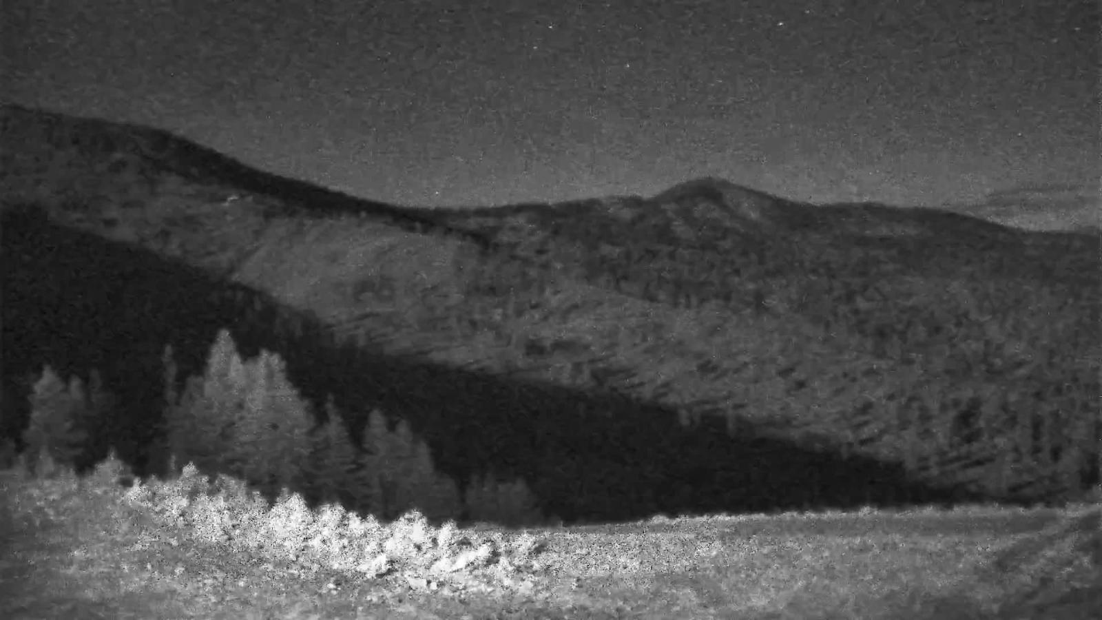 Webcam Schweitzer Mountain Resort: Rowdy Grouse