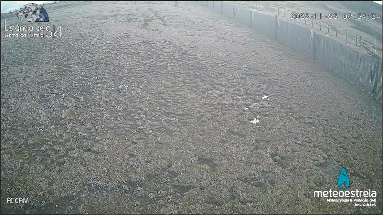 Webcam Serra da Estrela: Terrace