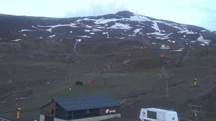 Sierra Nevada: Borreguiles (Sierranevada.es)