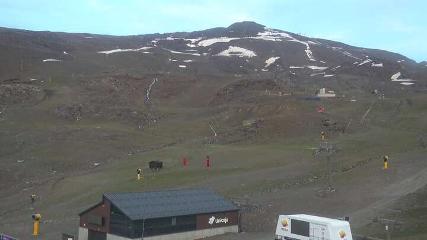 Sierra Nevada: Borreguiles (Sierranevada.es)