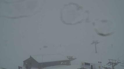 Sierra Nevada: Borreguiles (Sierranevada.es)