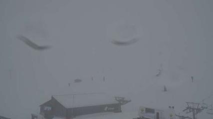 Sierra Nevada: Borreguiles (Sierranevada.es)