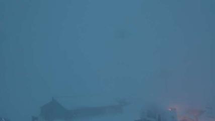 Sierra Nevada: Borreguiles (Sierranevada.es)