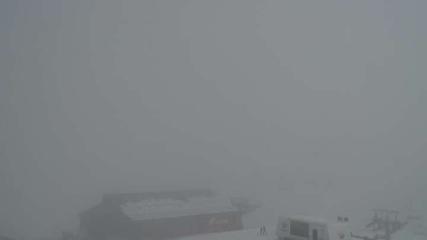 Sierra Nevada: Borreguiles (Sierranevada.es)